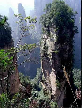 長沙出發(fā)到張家界溶洞奇觀黃龍洞、國家森林公園、袁家界、峰林之王天子山三日游（早班）